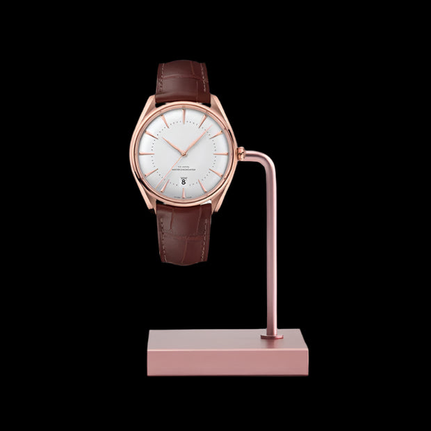 Watch counter display